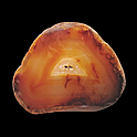 Agate variety Carnelian, Chandler Mountain, Linn County, Oregon