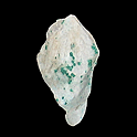 Anglesite with Paratacamite and Boleite, Amelia Mine, Boleo District, Baja California Sur, Mexico