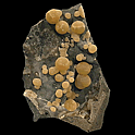 Calcite, Campomorto Quarry, Italy Calcite, Campomorto Quarry, Italy