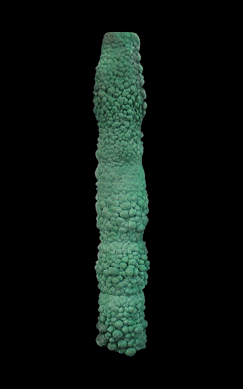 Malachite stalactite, Mashamba West Mine, Kolwezi District, Katanga, Democratic Republic of the Congo