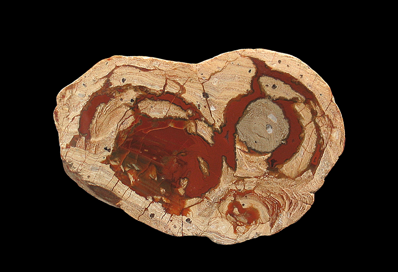 Agate Thunderegg, Agate Creek, Etheridge Shire, Queensland, Australia