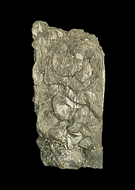 Pyrite bar, Buick Mine, Bixby, Iron County, Missouri