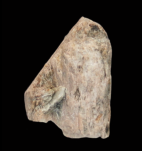 Spodumene, Walnut Hill Pegmatite, Huntington, Hampshire County, Massachusetts