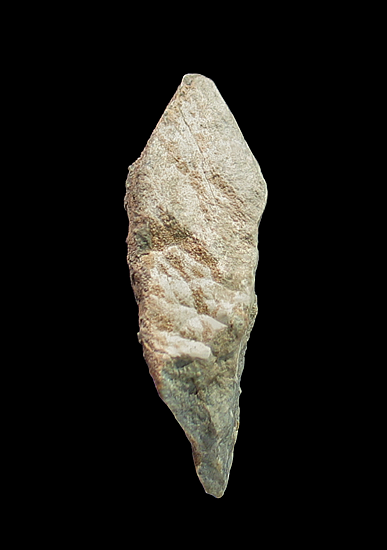 Calcite pseudomorph after Ikaite (Glendonite), Carter Creek, North Slope Borough, AK