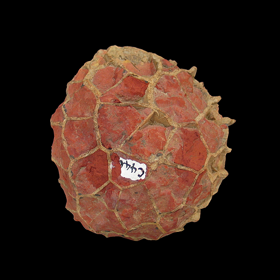 Calcite septaria, Kynuna, McKinlay Shire, Queensland, Australia