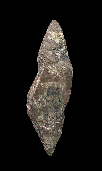 Calcite pseudomorph after Ikaite (Glendonite), Yayoi, Mikasa City, Sorachi Subprefecture, Hokkaido Prefecture, Japan