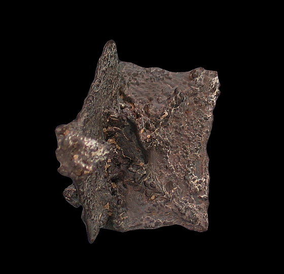 Hematite pseudomorph after Marcasite, White Desert, Farafra Oasis, New Valley Governorate, Egypt