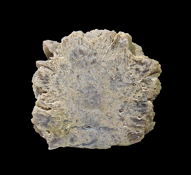 Quartz pseudomorph after Gypsum, Crawford Dam, Crawford, Dawes County, NE