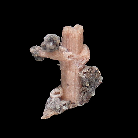Chalcedony pseudomorph after Anhydrite, Agua Fria River, New River Station Area, Yavapai County, AZ