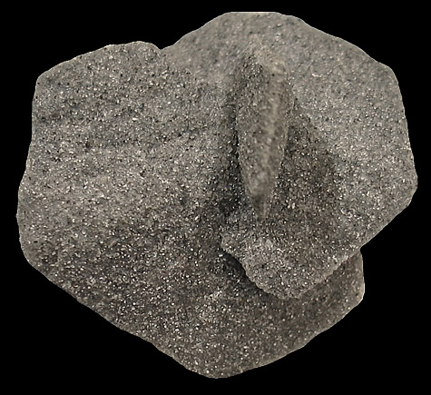 Gypsum with Sand inclusions, Ahahrani, Saudi Arabia