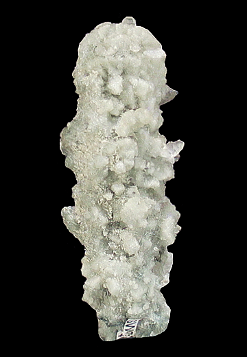 Dravite Tourmaline on Quartz, Maria Mine, Sonora, Mexico