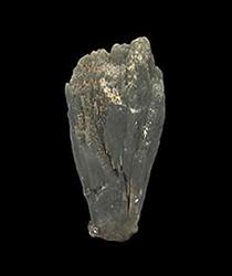 Quartz with Actinolite inclusions, Mega Horio, Serifos Island, Kykládes Prefecture, Greece