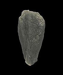 Quartz with Actinolite inclusions, Mega Horio, Serifos Island, Kykládes Prefecture, Greece